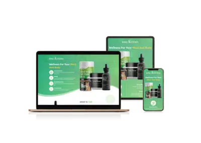 Landing Page Design for CBD Products Seller