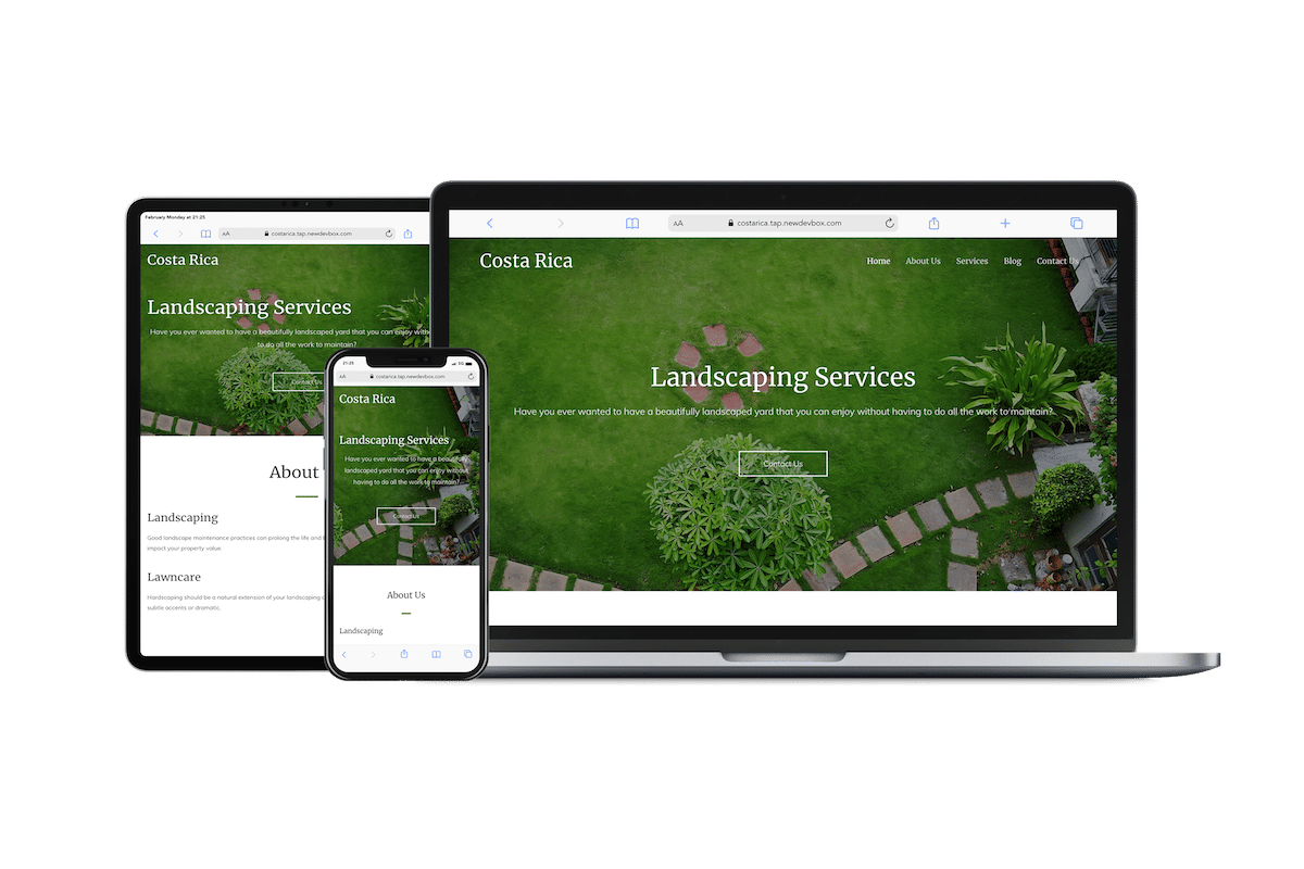 Custom website development