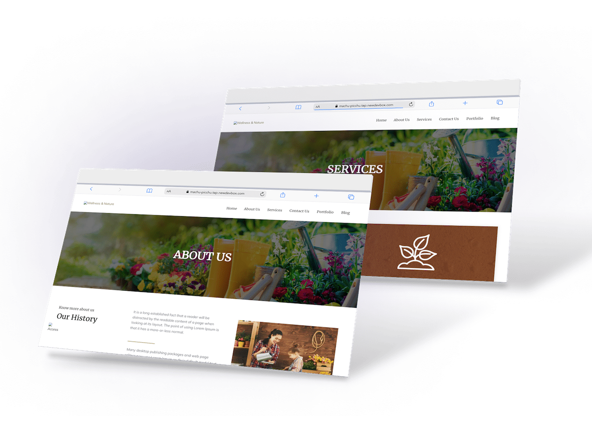 website development for art and design