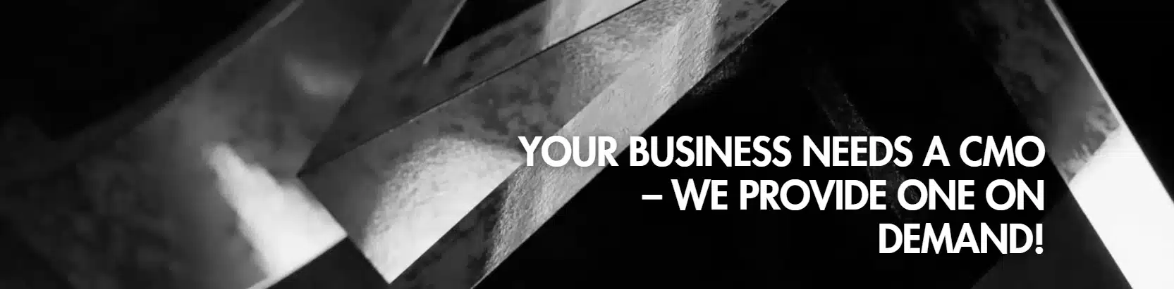 Outsourced CMO