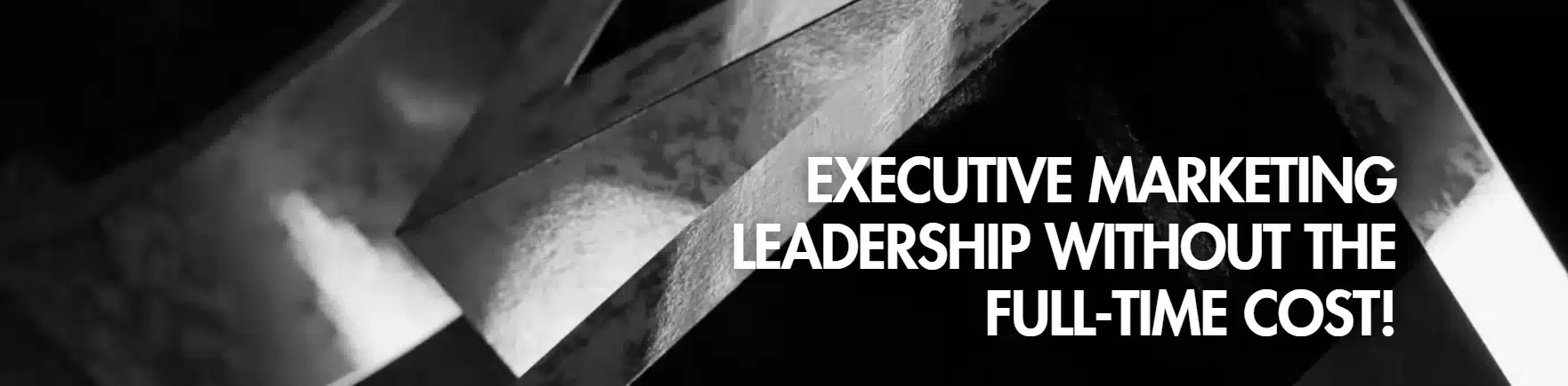 Executive Marketing Leadership