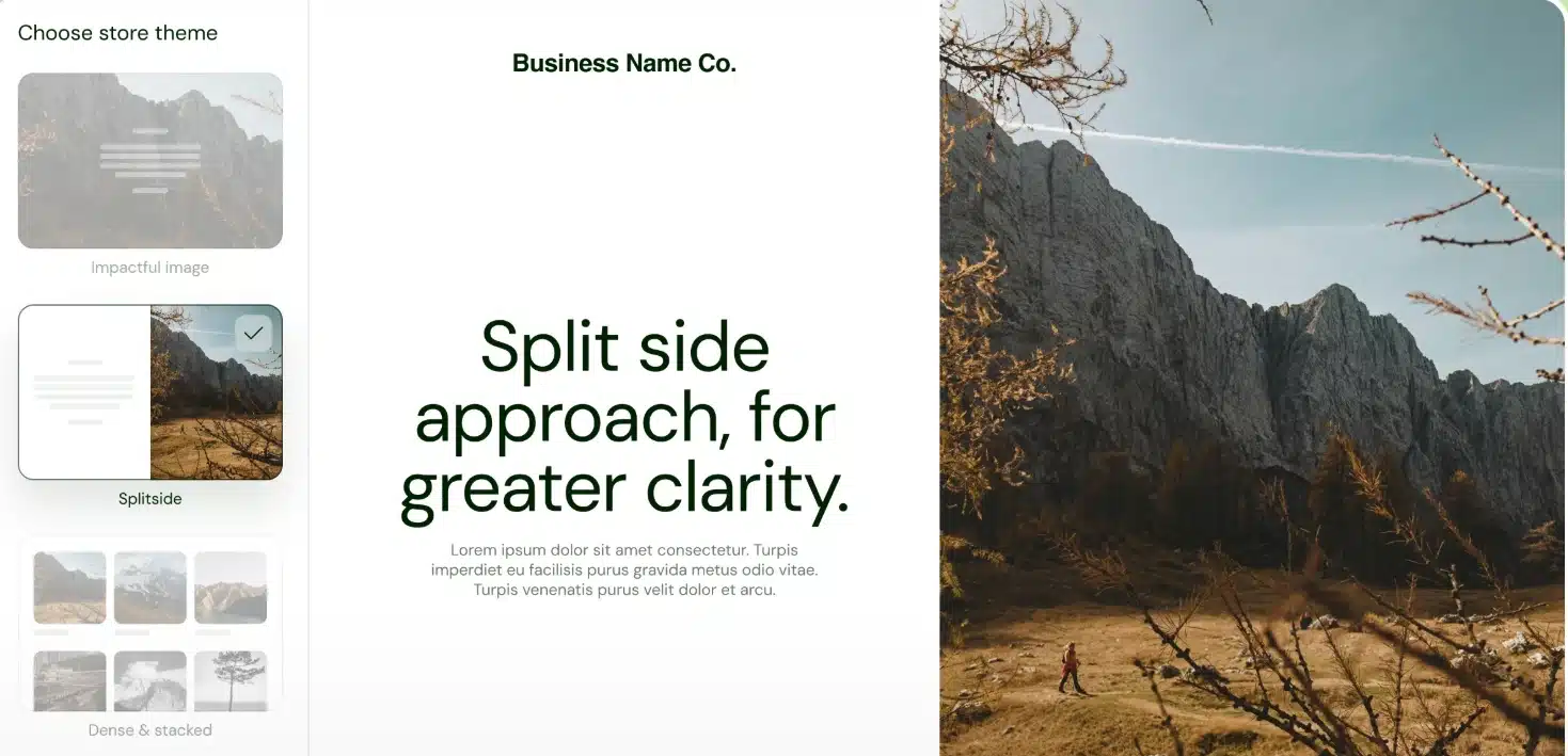 Sellfy Store Builder