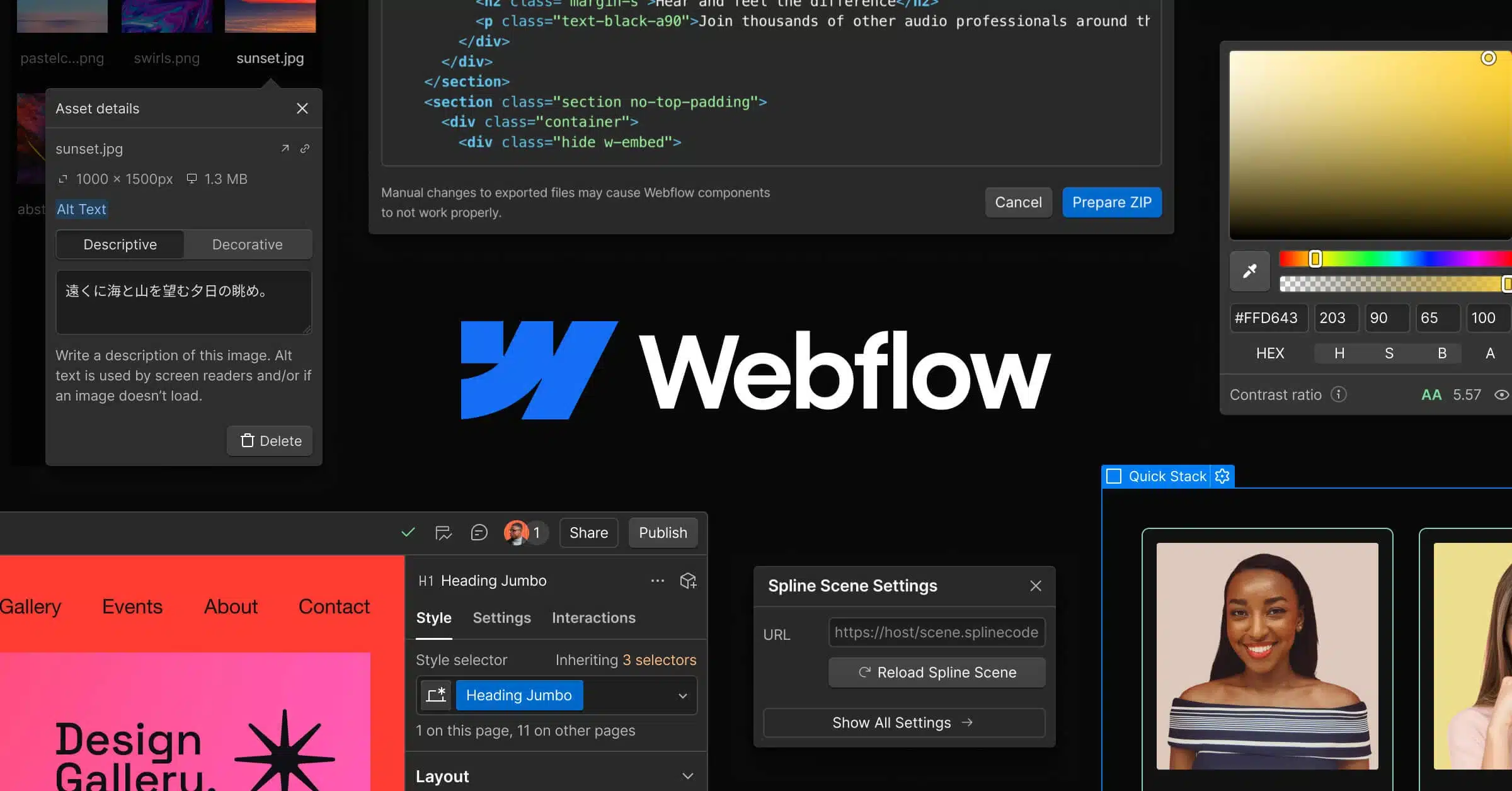 Webflow Features