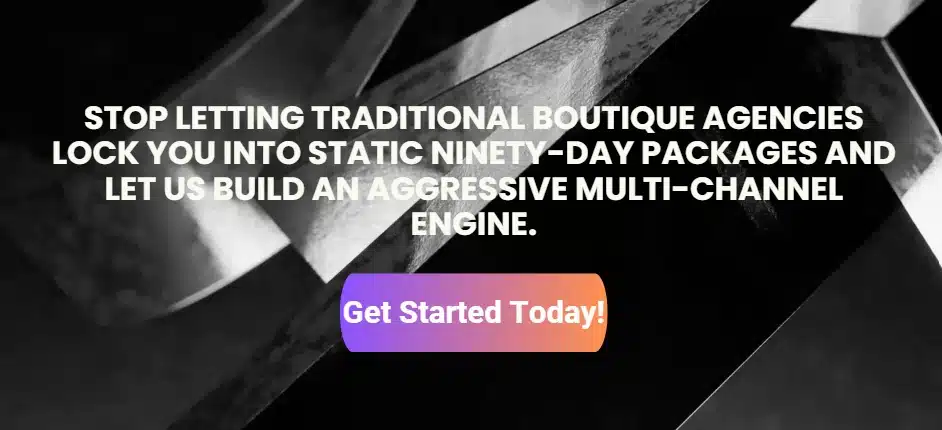 Bear Fox Marketing vs DiscoverMyBusiness