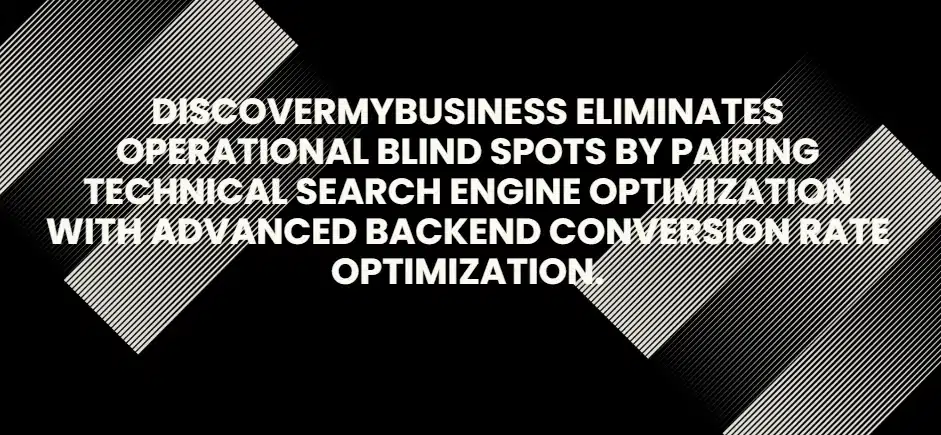 Bear Fox Marketing vs DiscoverMyBusiness