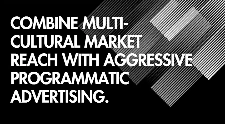 Brito Marketing vs DiscoverMyBusiness