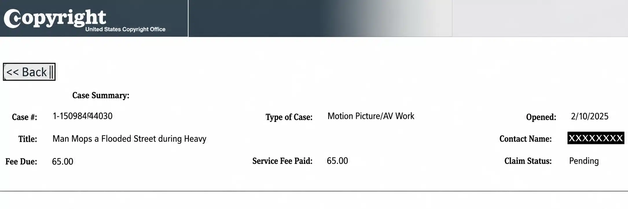 Second page of the copyright application document sent by BVIRAL